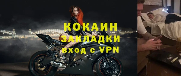 прущие грибы Баксан