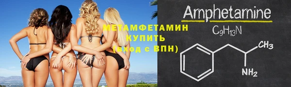 прущие грибы Баксан