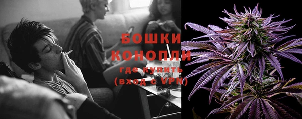 прущие грибы Баксан