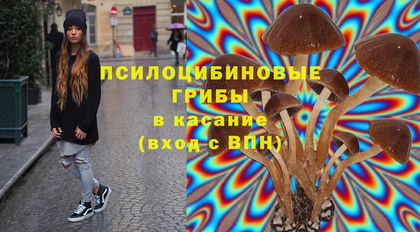 apvp Балабаново