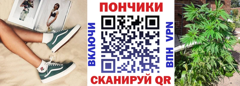 Бошки марихуана конопля  Купить закладки  Лермонтов 